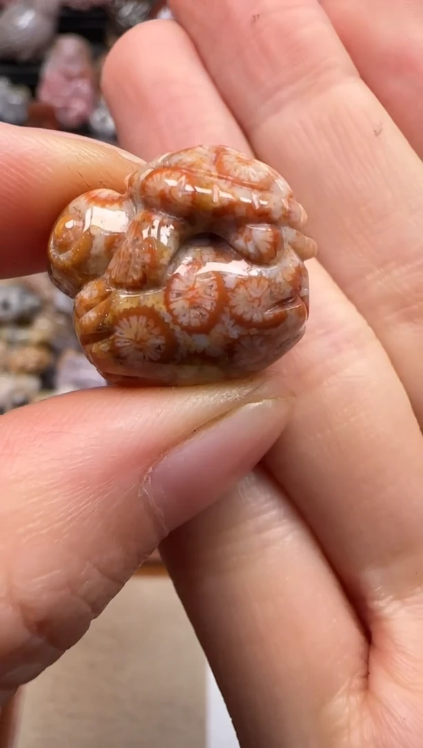 【闪购商品】硅化珊瑚（珊瑚玉）颈饰未镶嵌169