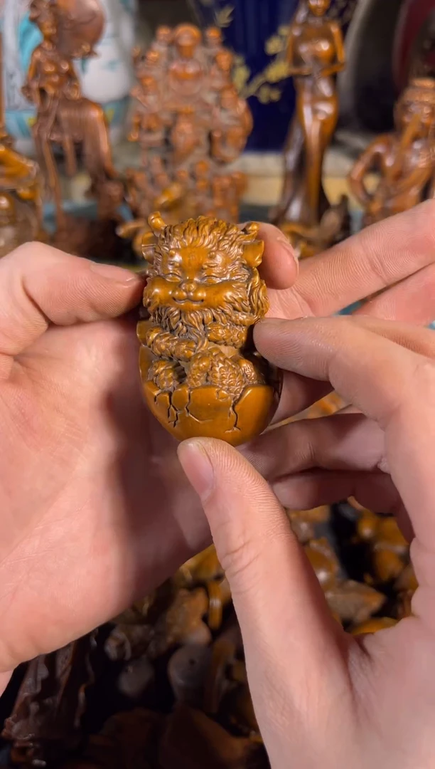 黄杨木11111111111111