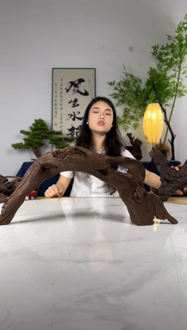 煬拍这个定向编号22