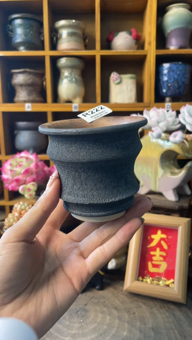 222内口8【多肉花盆多肉盆】