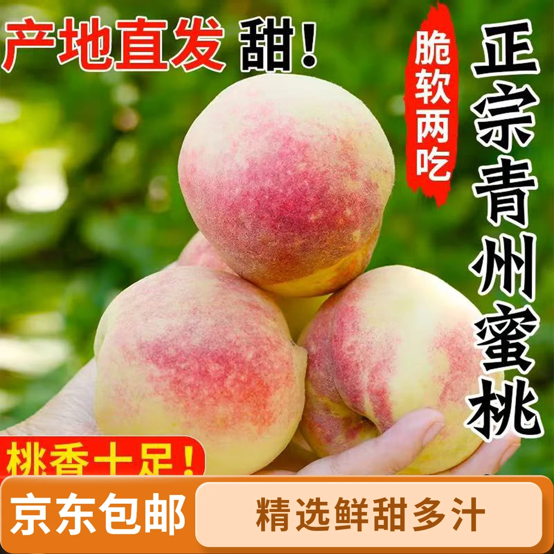 正宗青州蜜桃脆甜离核新鲜水果现摘当季应季京东包邮