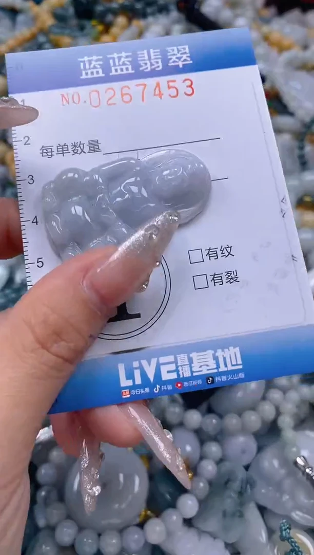 翡翠未镶嵌颈饰闪购0267453