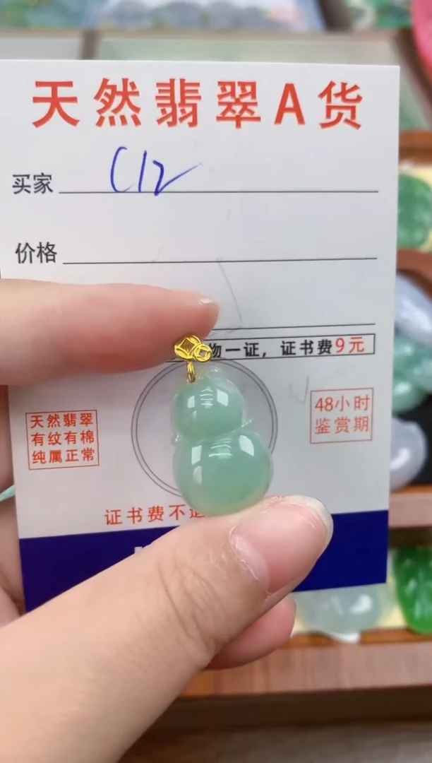 颈饰未镶嵌翡翠天然A货翡翠挂件