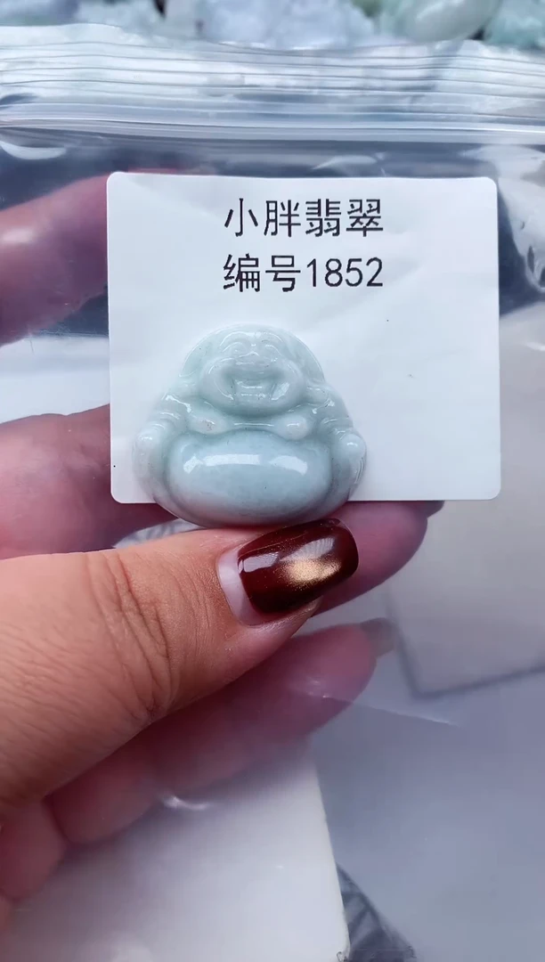 颈饰未镶嵌翡翠缅甸天然A货翡翠1852