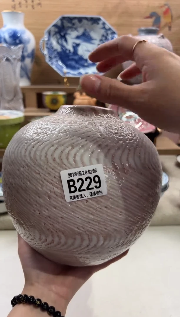 瓷片用****8      B229