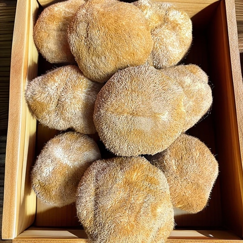 【猴头菇】去柄靓菇  桃胶