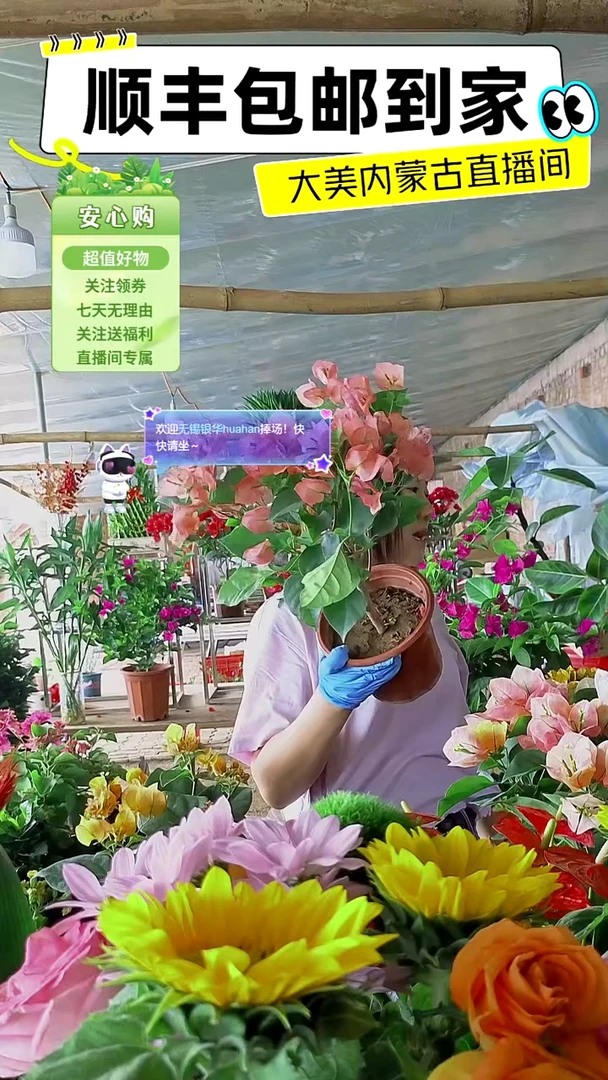 完全开放不甜西瓜