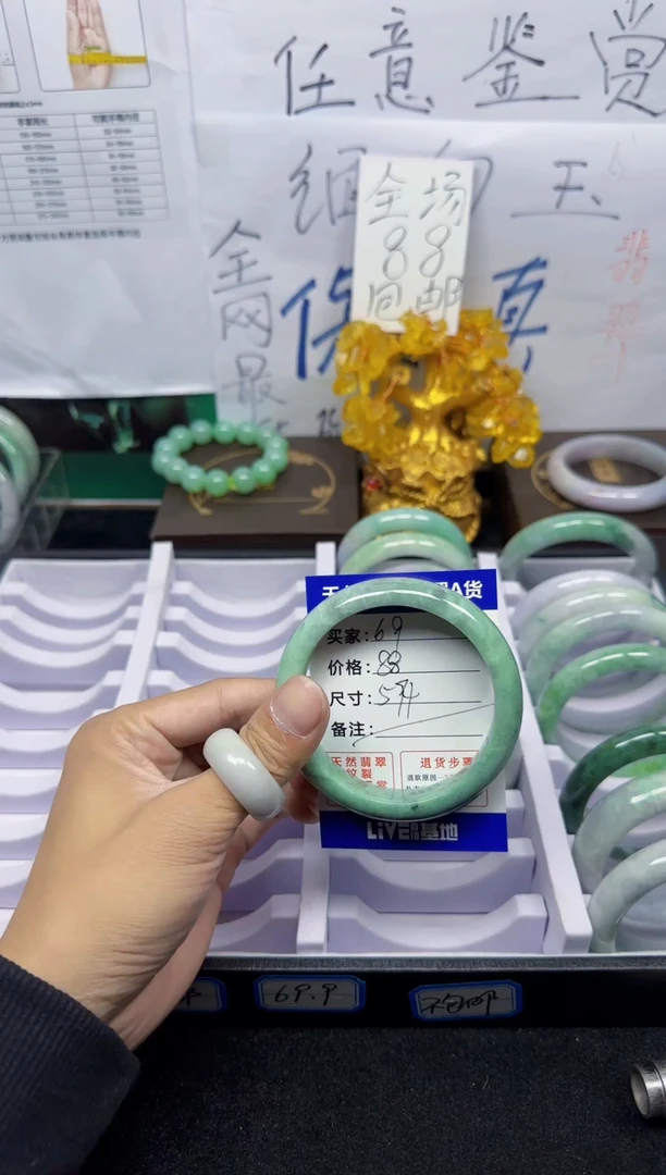 未镶嵌手镯翡翠69