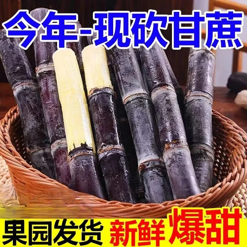 【现摘现发】新鲜正宗广西黑皮紫甘蔗清甜可口水果应季水果热带脆多汁非黄金青