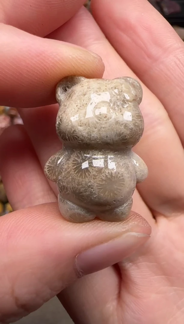 硅化珊瑚（珊瑚玉）未镶嵌颈饰270