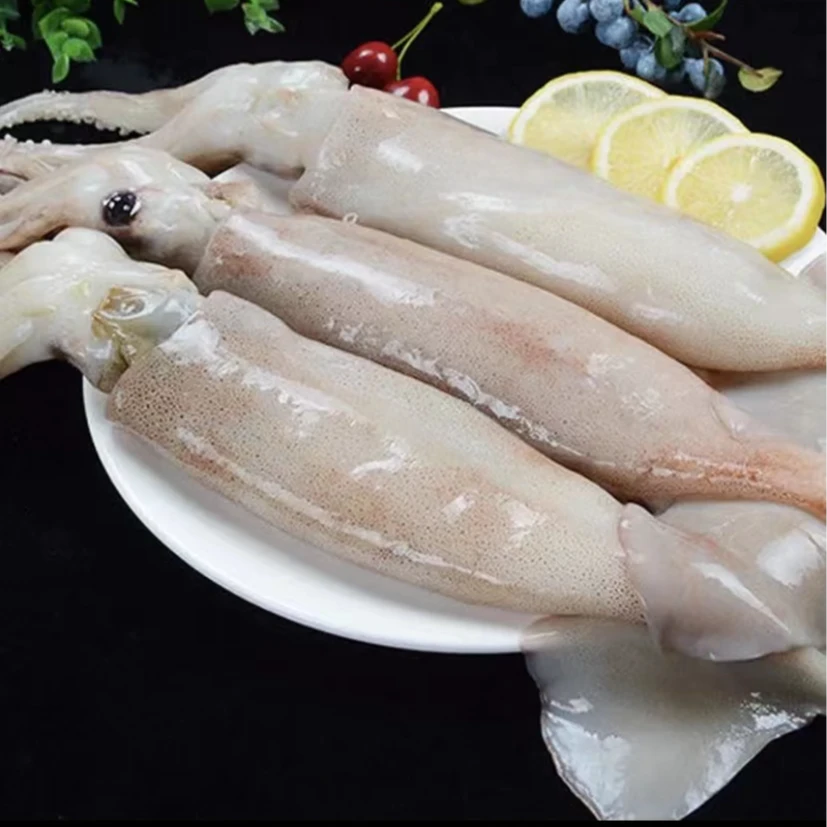 【只发新疆】新鲜海捕原浆大鱿鱼肉质鲜嫩厚实 净重2.5公斤（3-4条）
