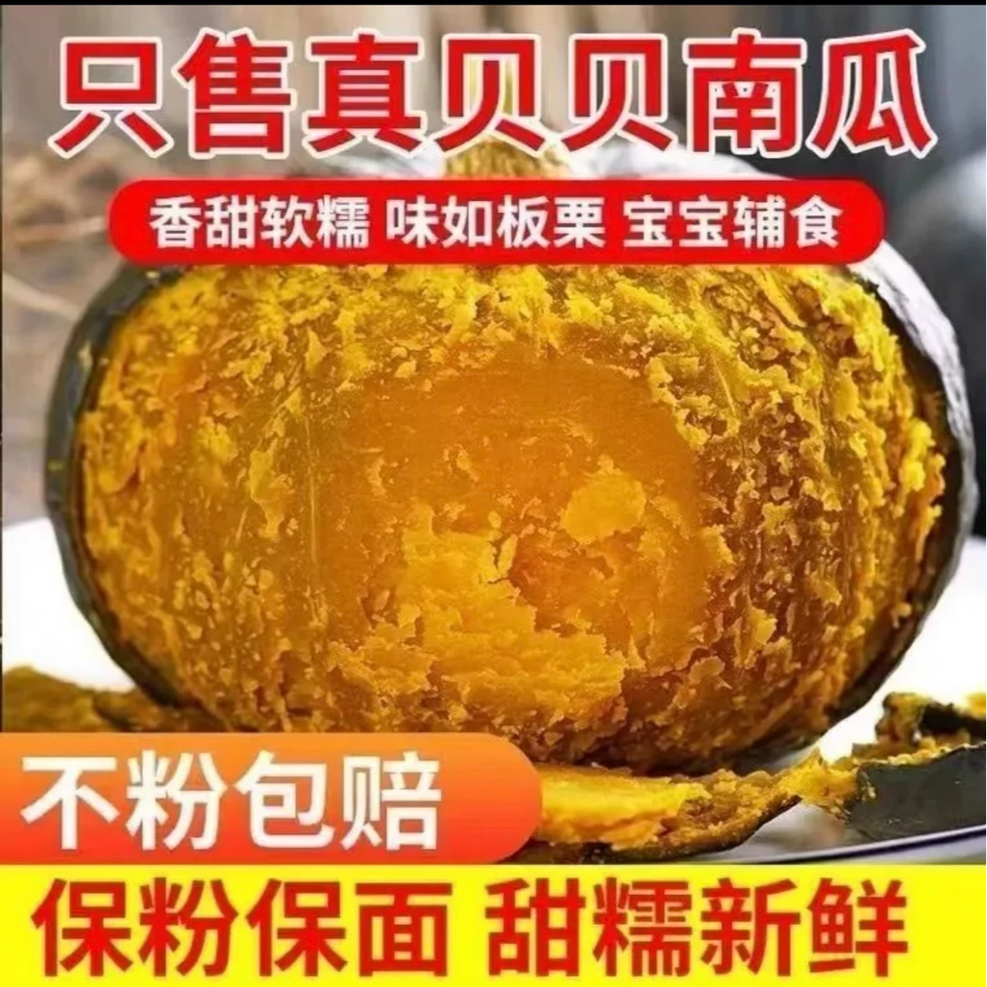 正宗真贝贝老瓜粉糯香甜板栗味孕妇儿童辅食减脂山东发货膳食纤维