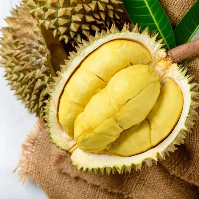 （直播间专属）双A泰国金枕榴莲冷冻果肉一盒400g