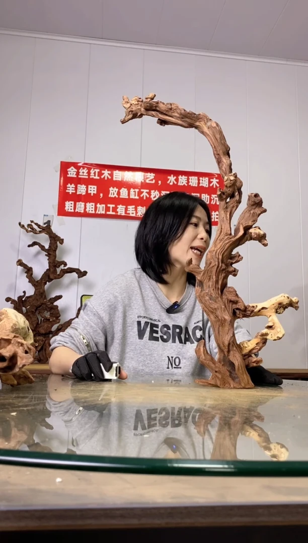 【闪购商品】木40金丝红木 羊蹄甲