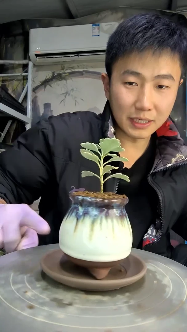 L****w中青园艺一物一拍花89