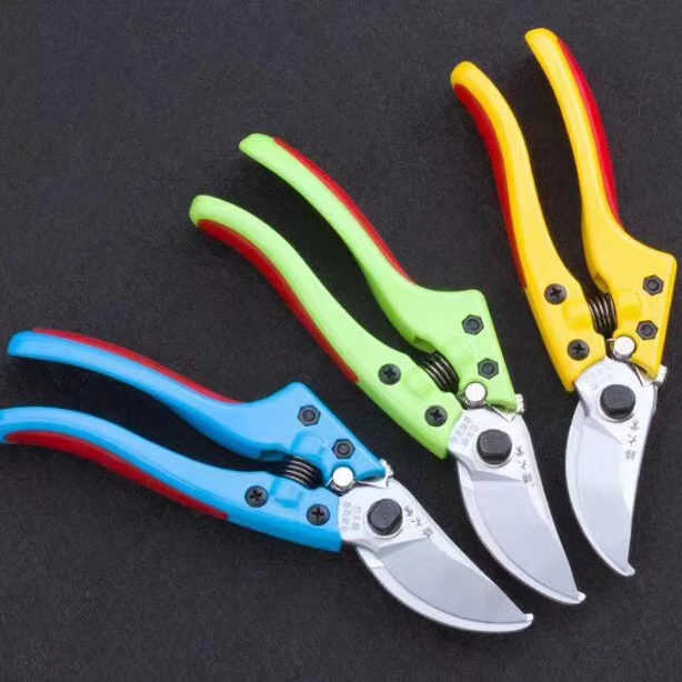 修枝剪园林家用省力果树粗枝剪刀（拍剪刀送锯子）