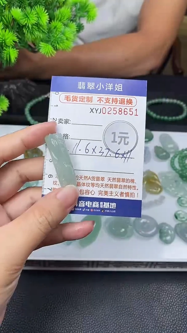 定制翡翠未镶嵌翠**?毛货商品 不退换/ 8651