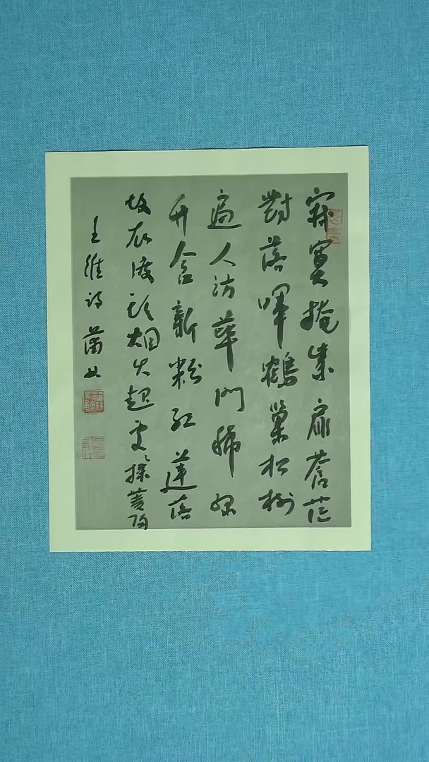 【闪购商品】书法015 甘肃蒲林中书协34*28