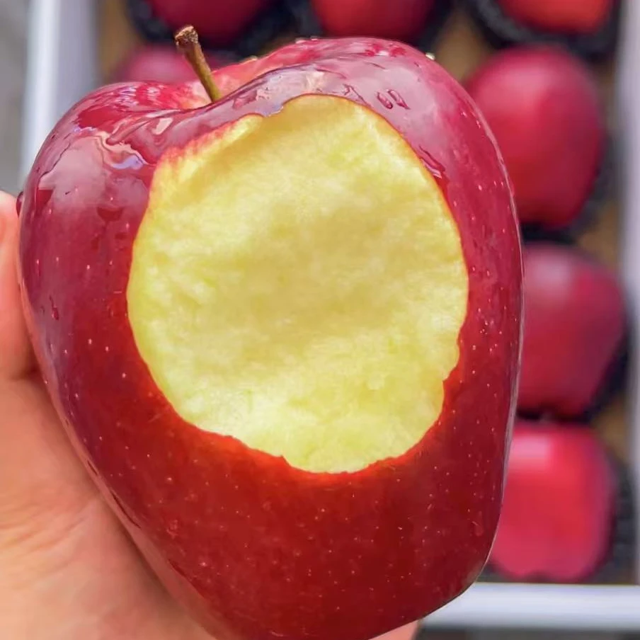 花牛 苹果一个装（不低于400g左右）