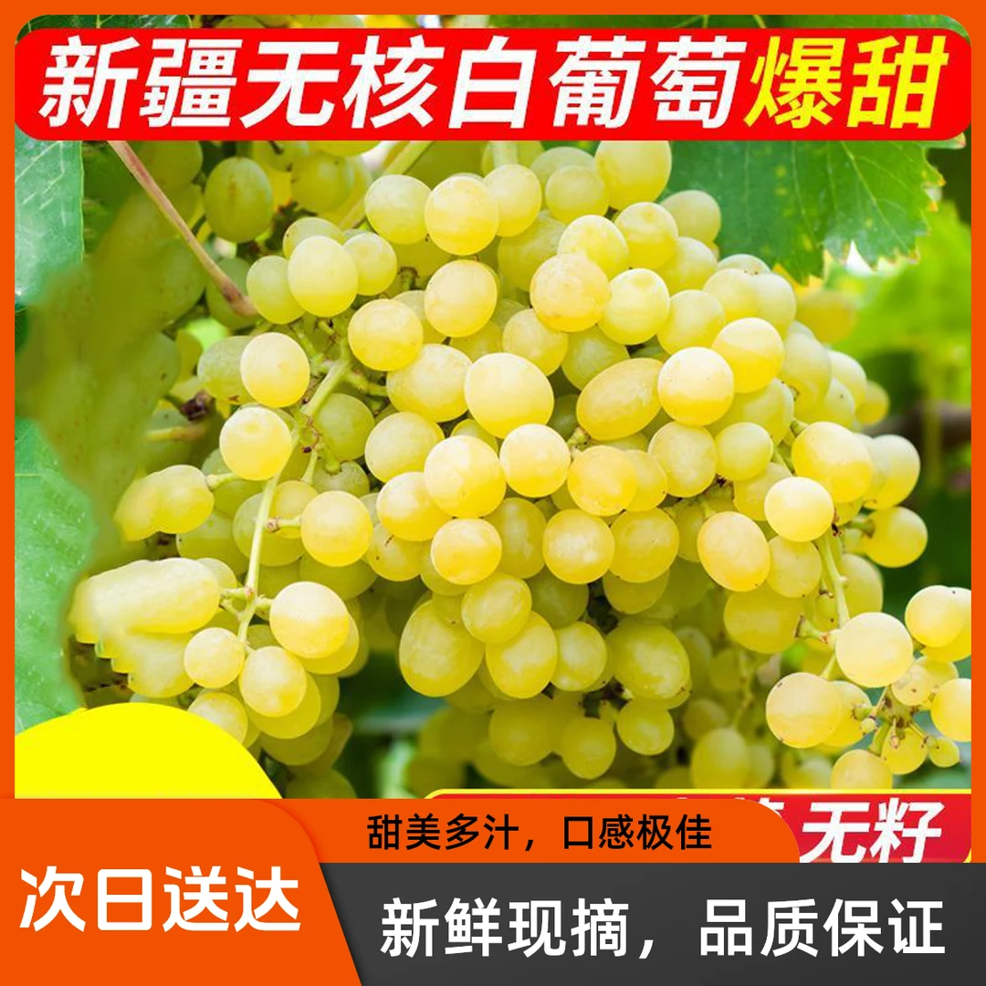 新疆吐鲁番无核白葡萄葡萄同城送新疆维吾尔自治区