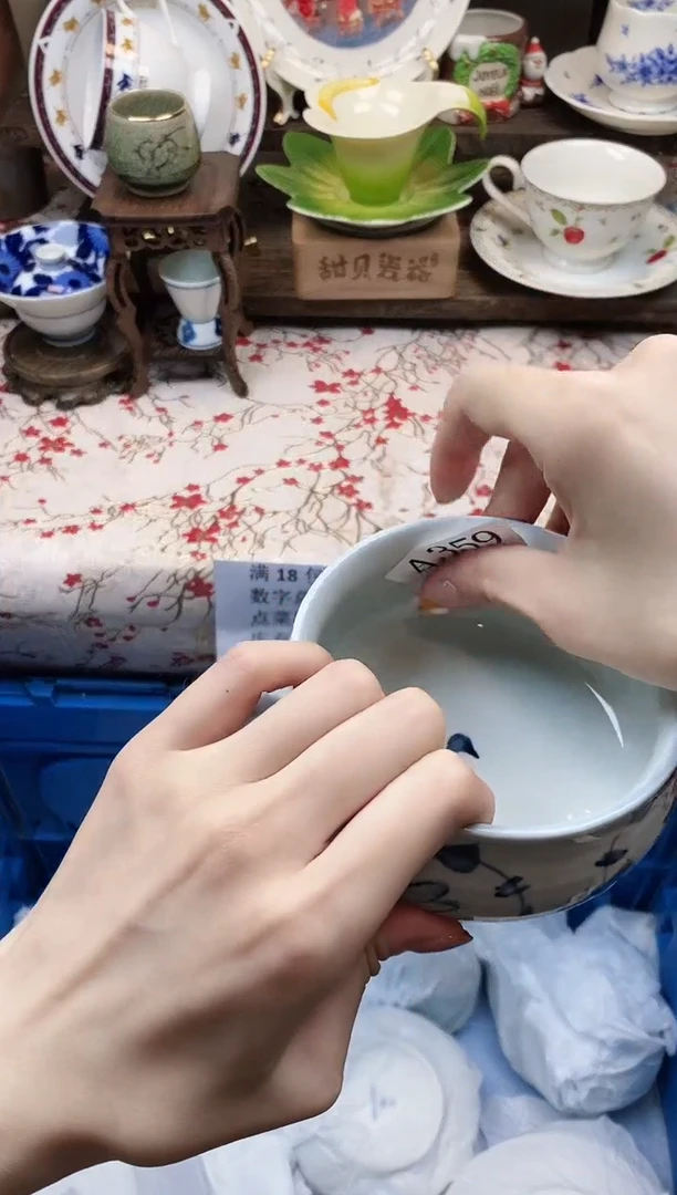 瓷片                A359