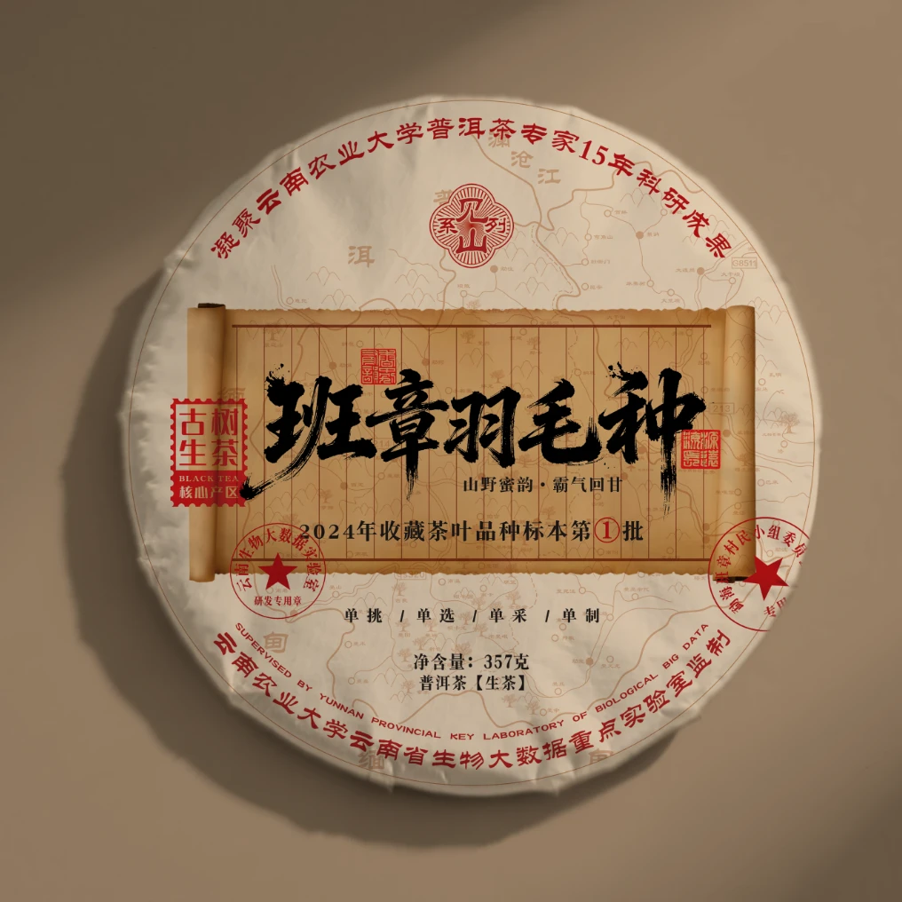 【敦煌甄选】2024年农大 班章羽毛种 普洱生茶357克/饼