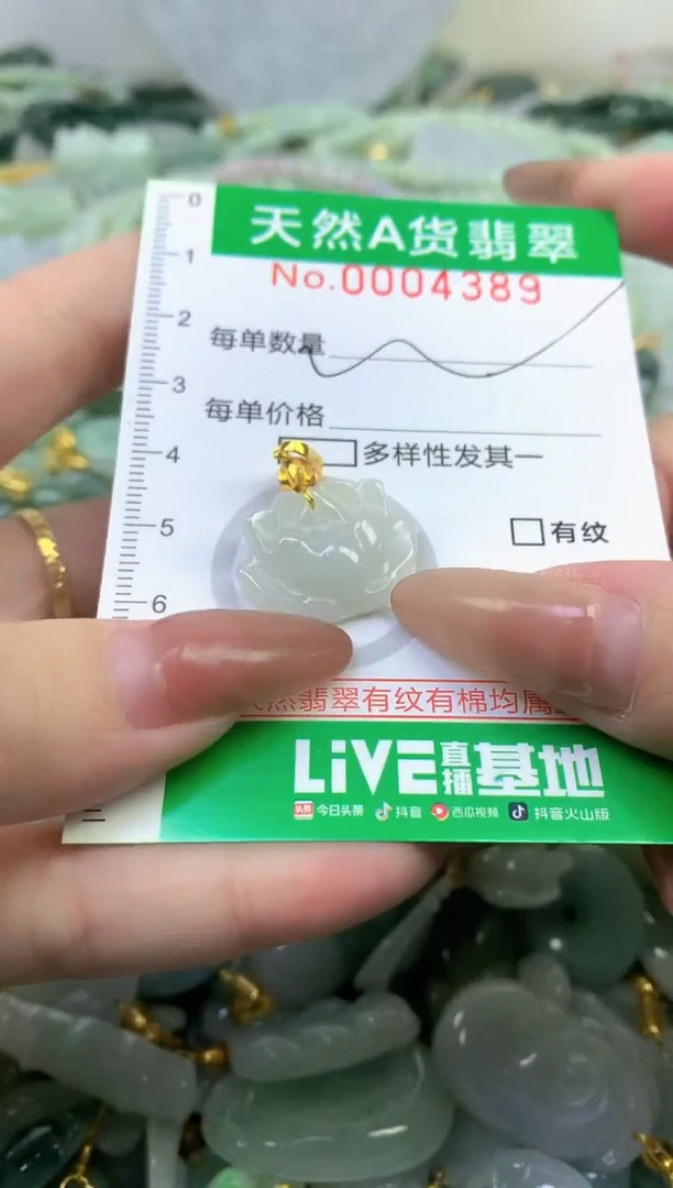 颈饰未镶嵌翡翠纯天然缅甸A货翡翠