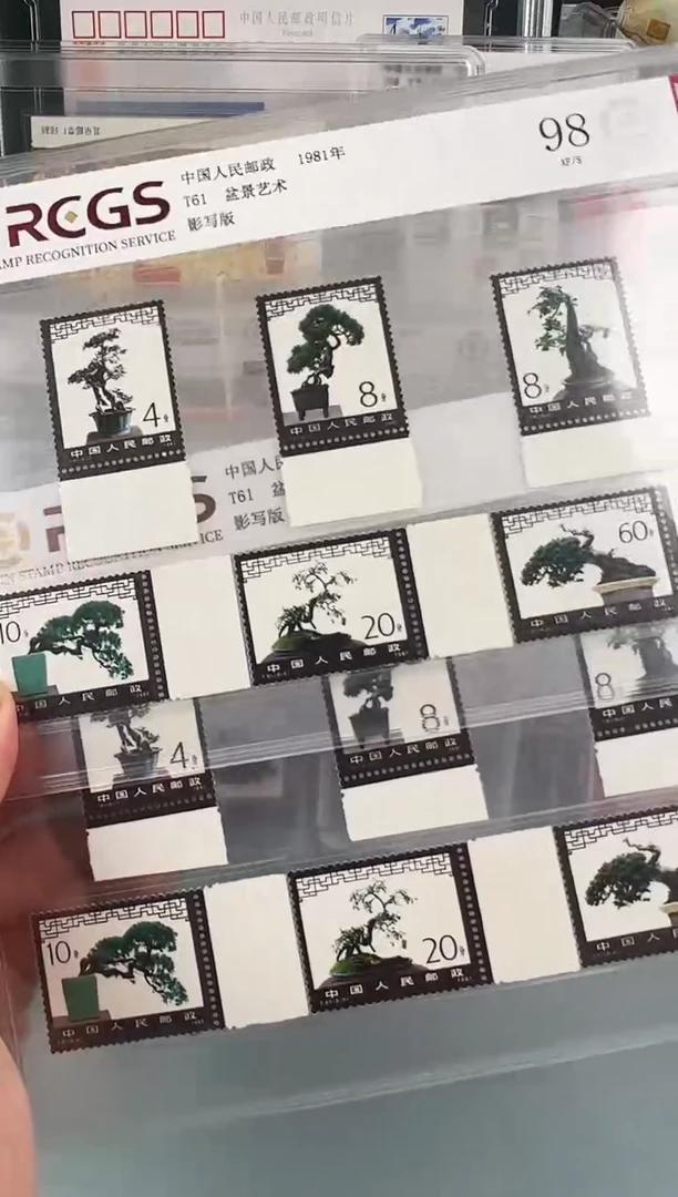 T61盆景大宽边一套
