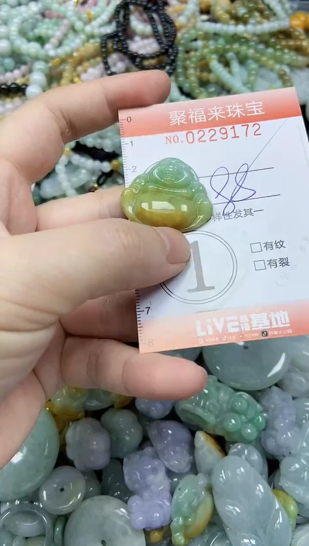 颈饰未镶嵌翡翠闪购0229172