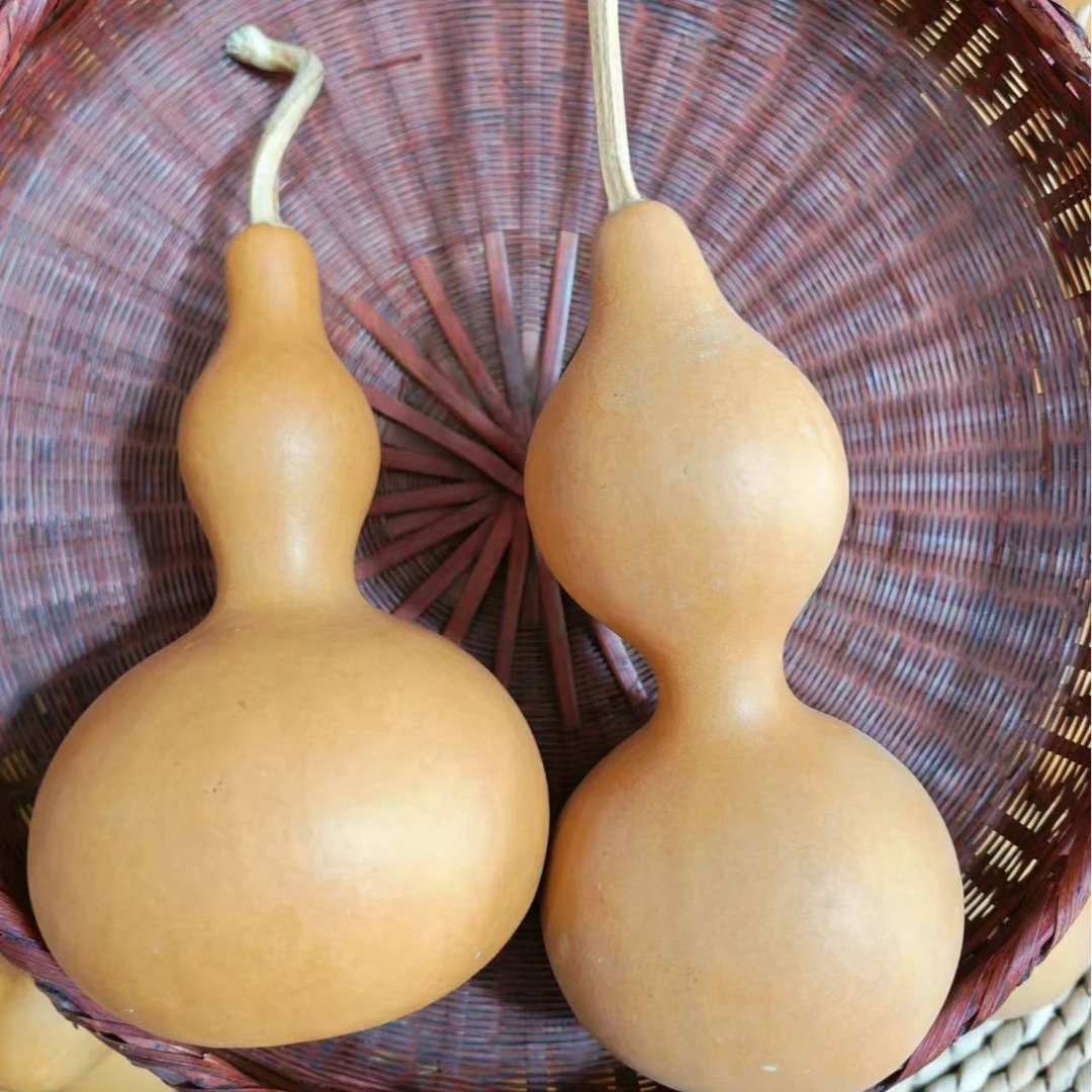 精品葫芦四年老白皮