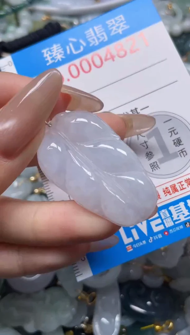 颈饰未镶嵌翡翠4821