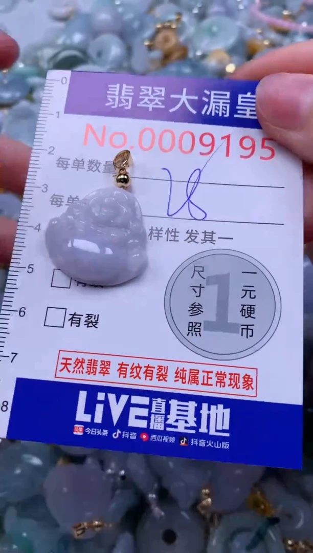 翡翠未镶嵌吊坠(不含链)9195