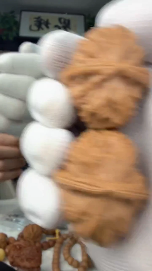 把件龙脊菩提白狮子028