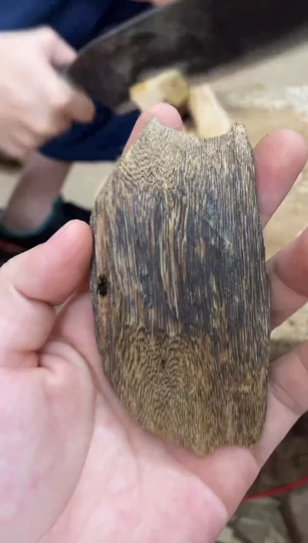 沉香沉香碎屑棋楠沉香 原料文创1