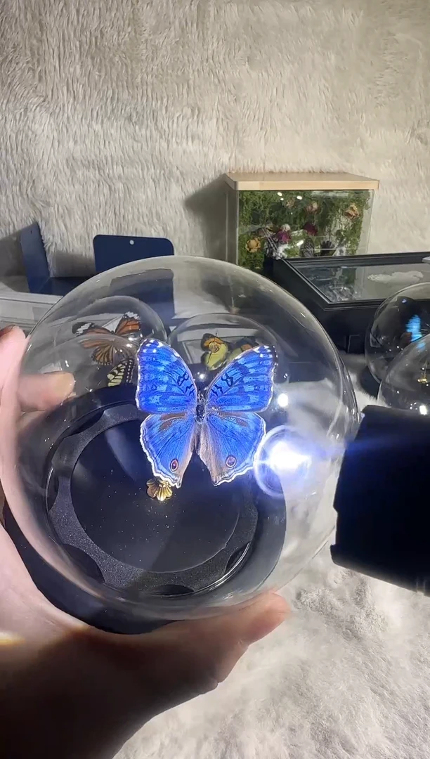 有机玻璃优雅眼水晶球