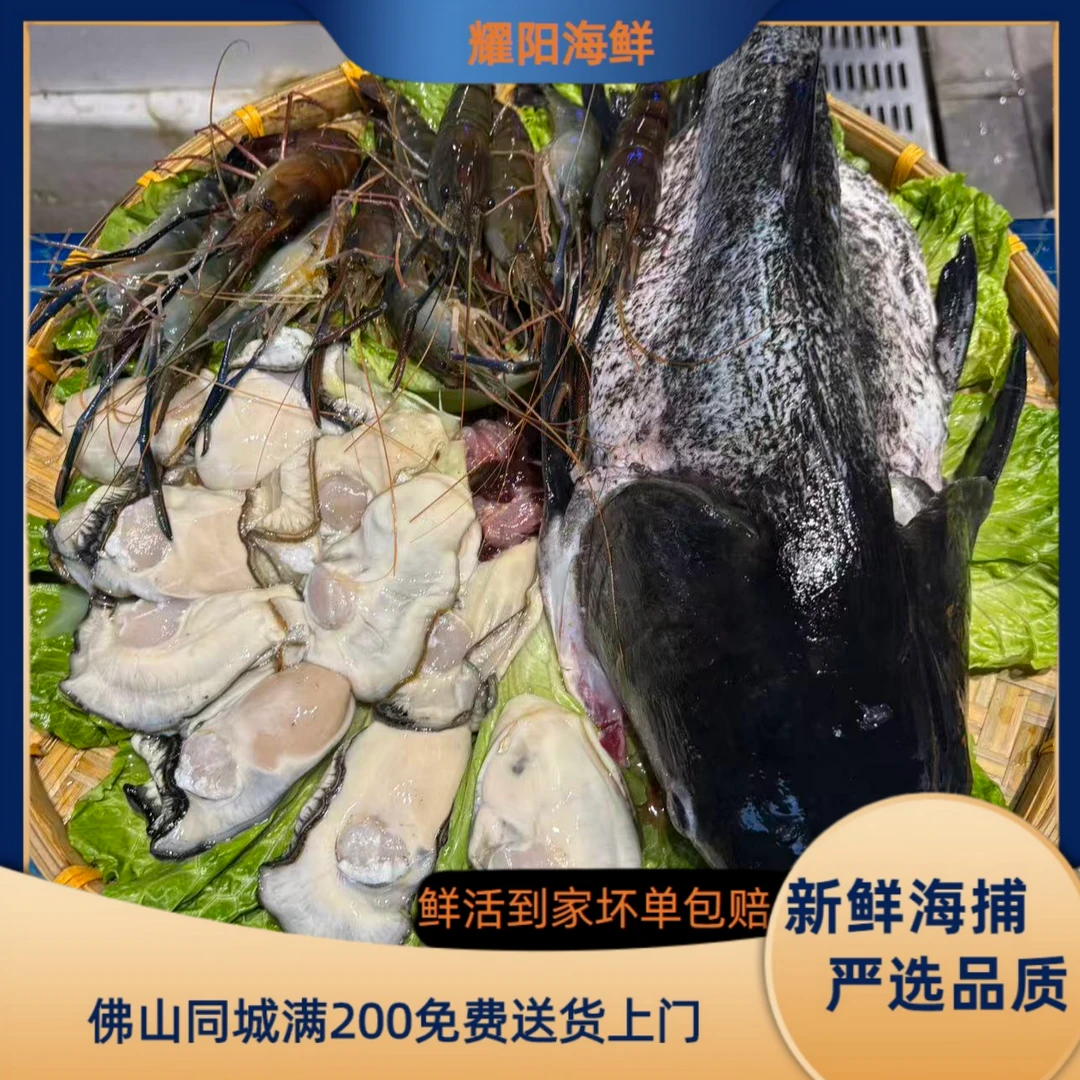 海鲜套餐（罗氏虾1斤 生蚝10只   5斤吊水大头鱼）6-7人   268元