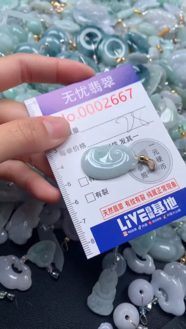 颈饰未镶嵌翡翠2667