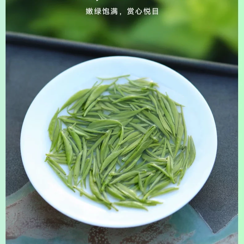2号 2025新茶 雨前小芽毛尖 浓香耐泡 高山嫩芽 板栗香花果香