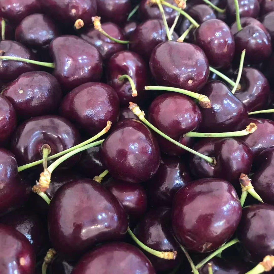 空运3JD桑提娜车厘子75元一斤桑提娜智利