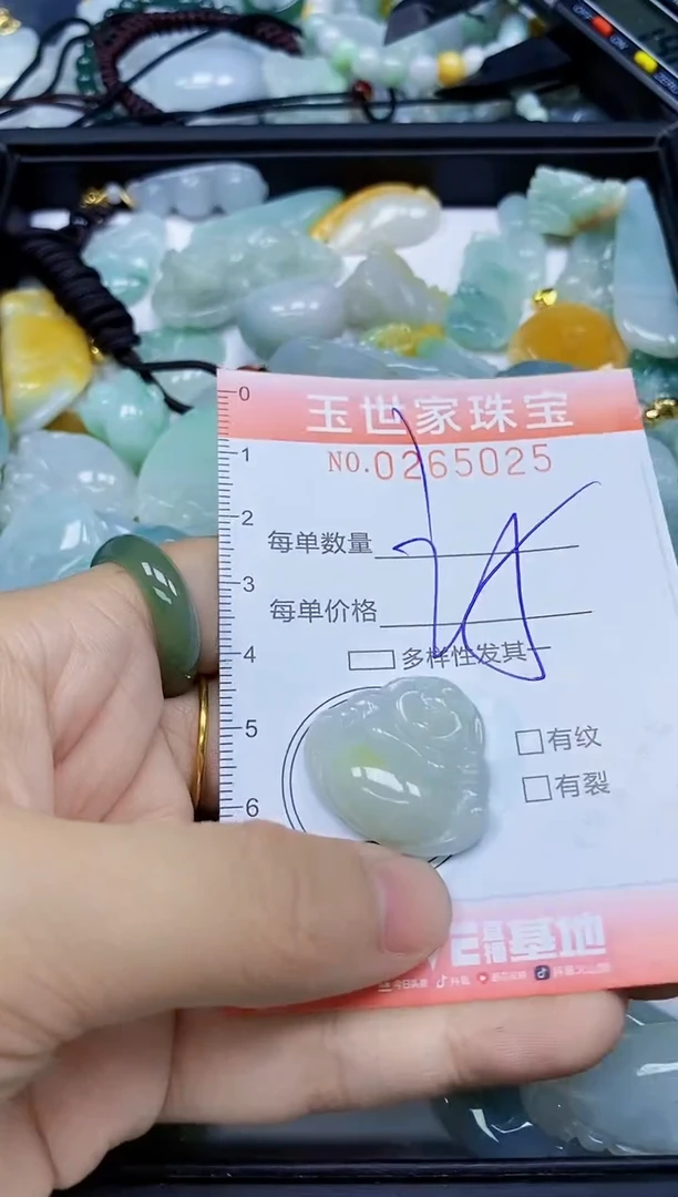 翡翠未镶嵌颈饰闪购0265025