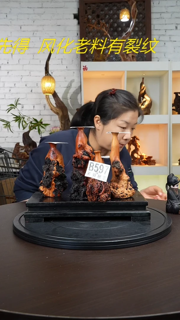 【闪购商品】木木艺云南黑果木小鸟