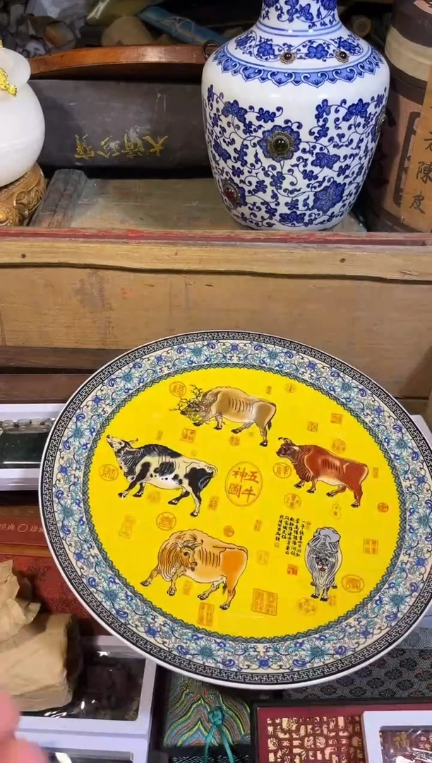 黄杨木1111111111111111111