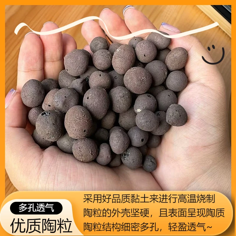 海哥家自用陶粒适用于多肉花卉绿植