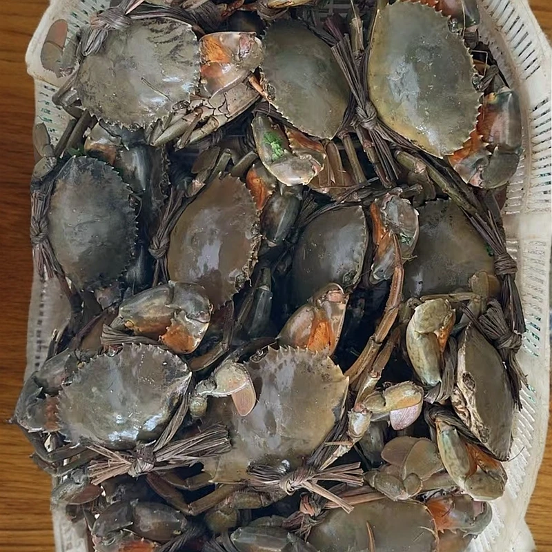 琅岐红蟳外省改价链接（非请勿拍）