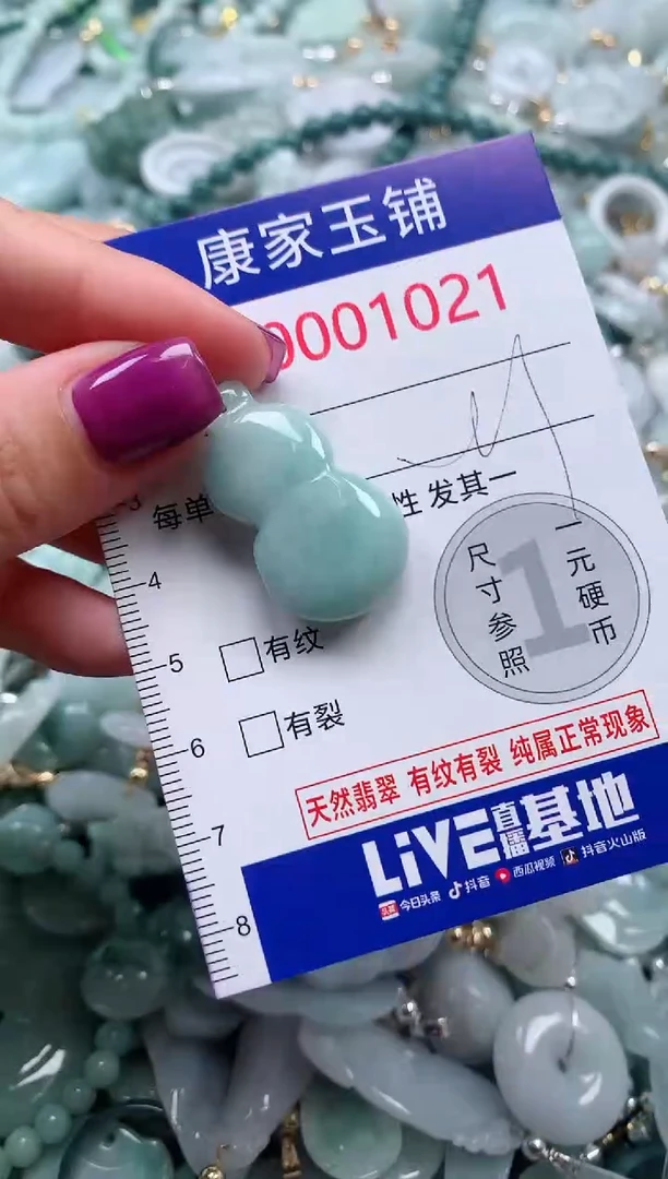 颈饰未镶嵌翡翠1021