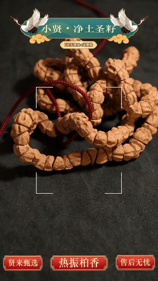 手串柏香籽/百香籽精工几何大角度鬼肠百香籽籽长串