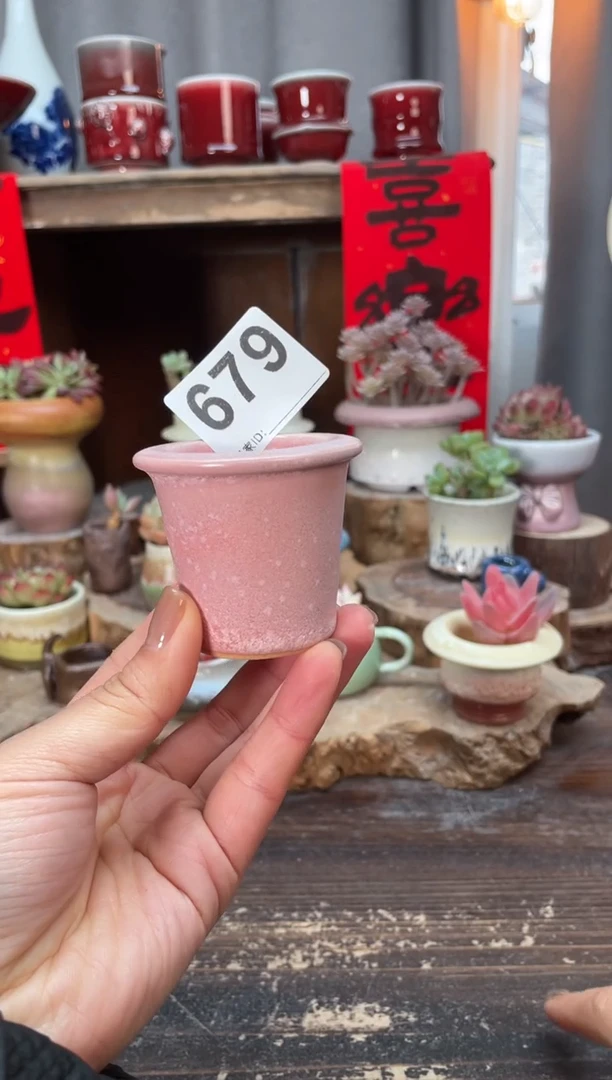 【闪购商品】摆件679知木小芳花盆