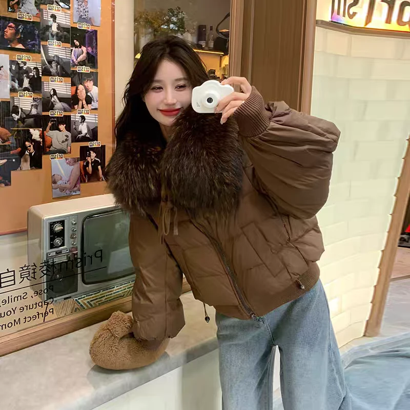 666款 年货时尚短款秋冬百搭半开领显瘦常规加厚毛领保暖