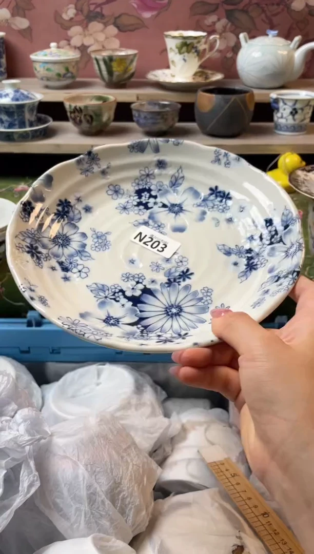 瓷片瓷器瓷器N203