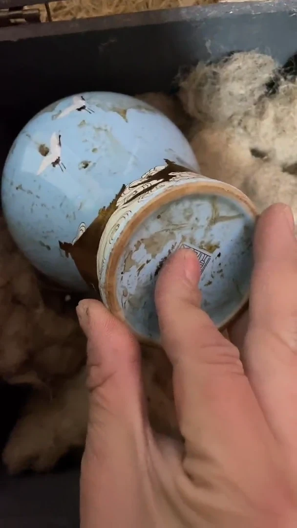 玉米福满专属链接  鹤瓶【带箱